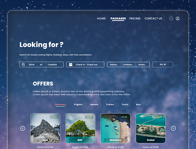 Custom Travel Agency branding customwebsite design graphic design ui ux web design webdesign