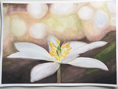 White Flower gouache illustration painting