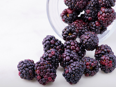 Blackberries blackberries fresh fruit photography