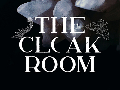 The Cloak Room adobe illustrator brand design branding design freelance design graphic design illustration logo logo design package design packaging procreate vector
