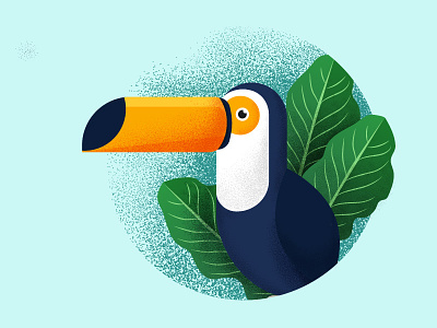 Toucan animal bird brazil grain texture jungle leaf plant toucan tropic bird tropical