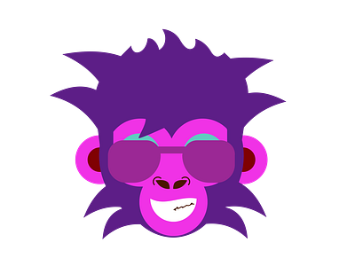 The Funky Monkey – Webdesign, Branding and Digital Marketing