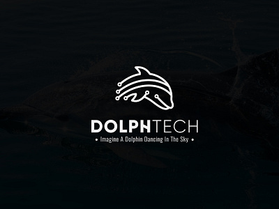 Dolphin Technology logo branding dolphin logo graphic design icon logo design modern minimalist technology logo