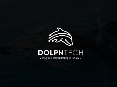 Dolphin Technology logo