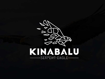 Geometric Eagle logo design