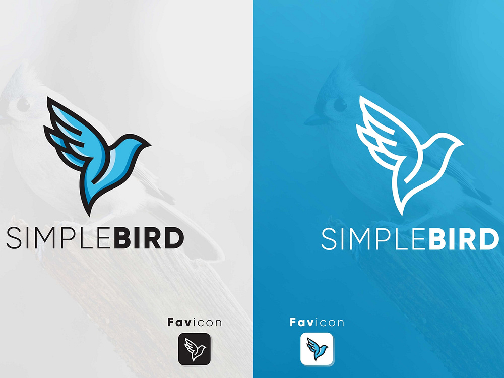 Bird Design designs, themes, templates and downloadable graphic