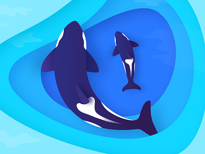 Killer Whales designs, themes, templates and downloadable graphic elements  on Dribbble