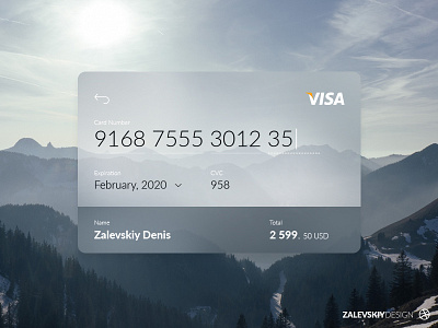 Credit Card Checkout credit card design ui ux visa web design