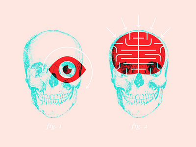 Skull Graphic anatomy arrow brain diagram eye geometric science skull