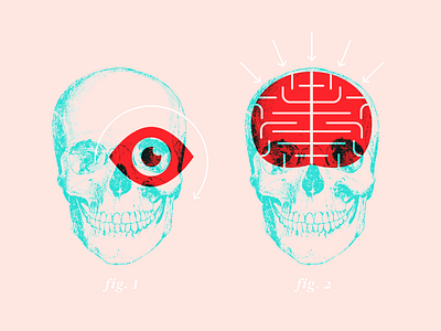 Skull Graphic