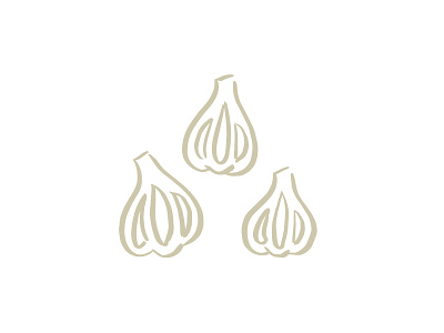 Garlic design food garlic illustration pattern vegetable