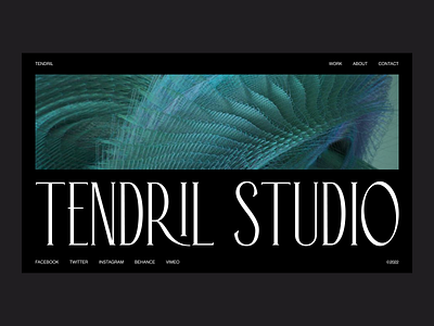 Tendril Studio design typography ui