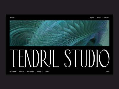 Tendril Studio