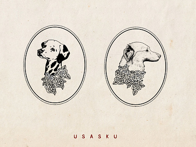 Dogs animals branding dalmatian dog dogs handdrawn illustration paper pastor vasco vintage