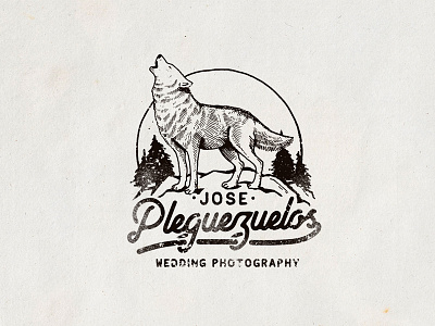 Jose pleguezuelos branding draw eagle flag handdrawn illustration logo oldschool