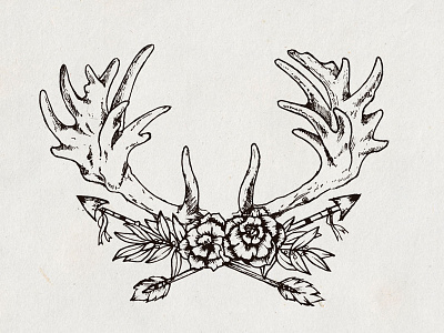 Deer Horns branding deer flower horns icon illustration oldblackbamboo