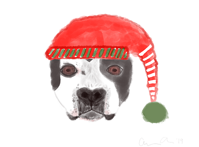 Happy Howlidays from Captain Hook! beginner christmas dog drawing illustration procreate watercolor