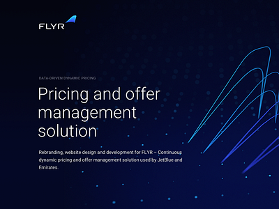 FLYR Visual Identity and Marketing Website design