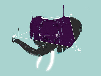 Transitions abstract animal drip elephant illustration nature photoshop surreal