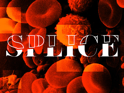 Splice abstract medical photograph photoshop type typography