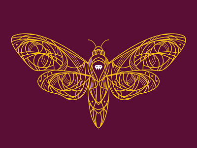Acherontia bug death moth illustrator moth symmetrical symmetry