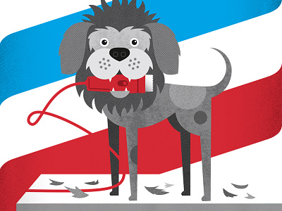 Petsmart Grooming barber shop design dog grooming illustration