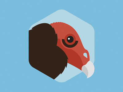 Turkey Vulture audubon society bird design flat hexagon illustration texas turkey vulture vector