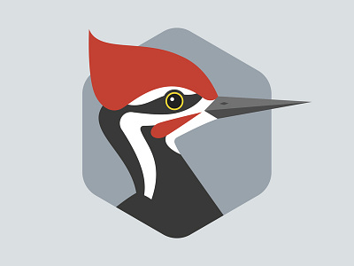 Pileated Woodpecker audubon society bird design flat hexagon illustration texas woodpecker