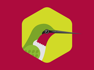 Ruby-Throated Hummingbird audubon society bird design flat hexagon hummingbird illustration texas