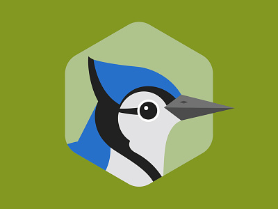 Blue Jay audubon society bird blue jay design flat illustration texas