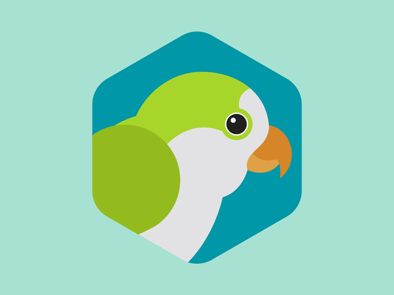 Monk Parakeet by Brett Stiles on Dribbble