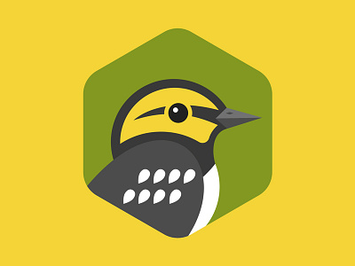 Golden Cheeked Warbler audubon society bird design flat illustration texas