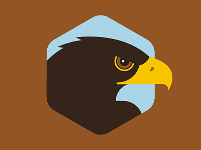 Harris's Hawk audubon society bird bird of prey design flat harriss hawk illustration texas