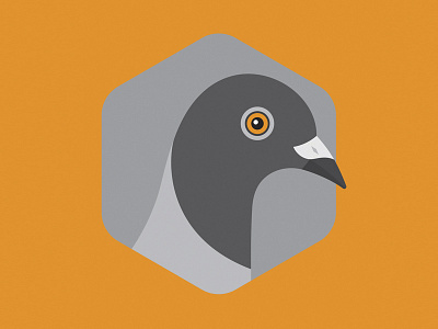 Pigeon audubon society bird design flat illustration pigeon texas