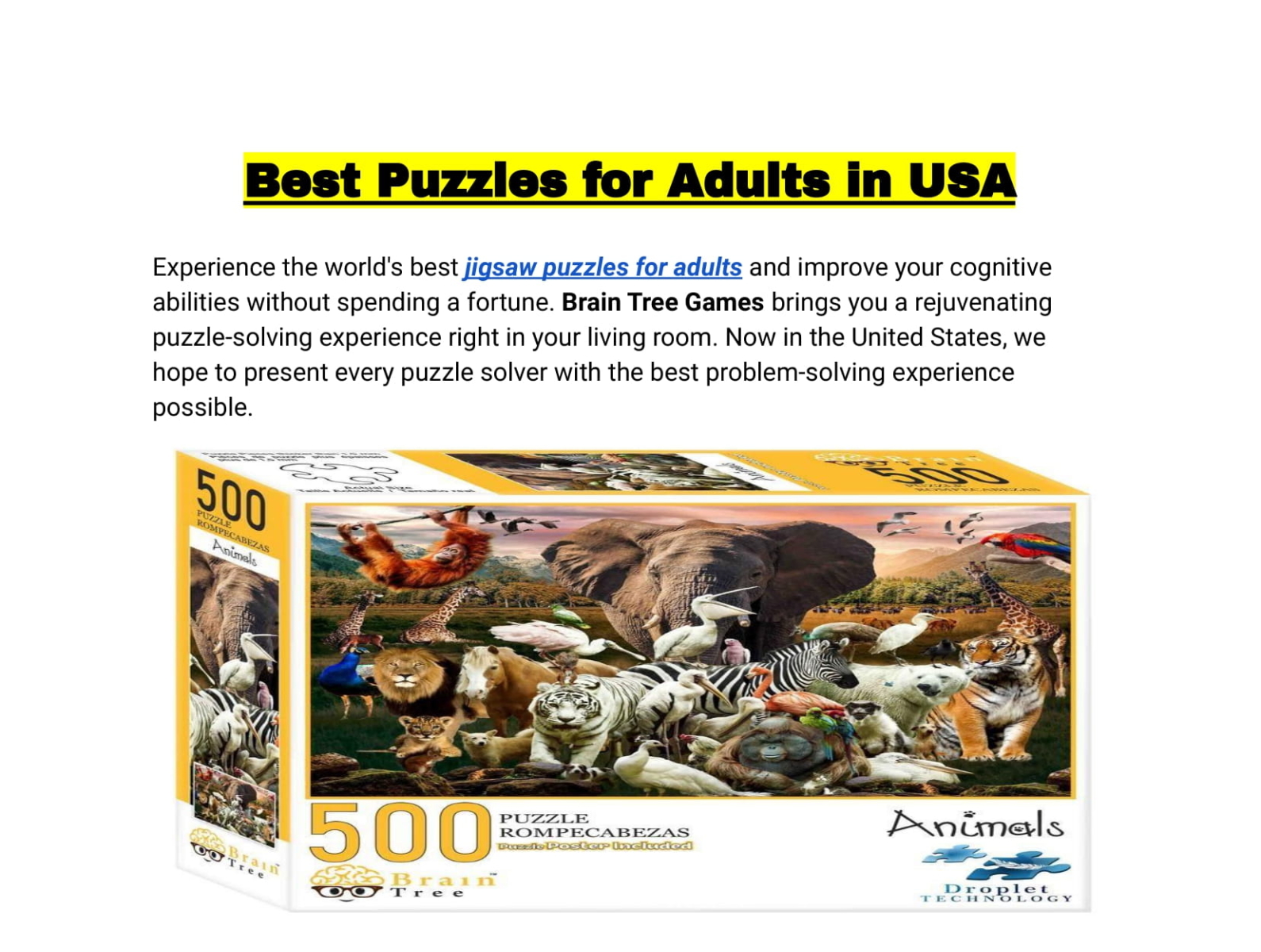 best-puzzles-for-adults-in-usa-by-brain-tree-games-on-dribbble