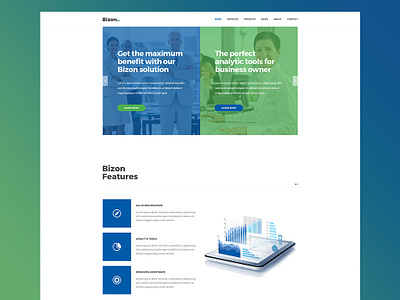 Bizon agency agency website analytic tool business business agency business and finance web design website design wordpress theme