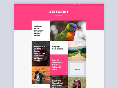 Zeitgeist Blog Website Design blog blog design web design website design wordpress theme
