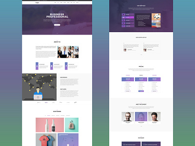 Plex: One Page Website Design for Professionals agency website business business agency one page design profesional web design website design