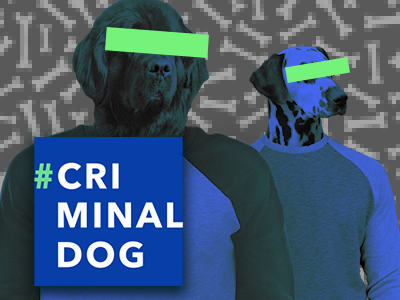 Criminaldog criminal dog web