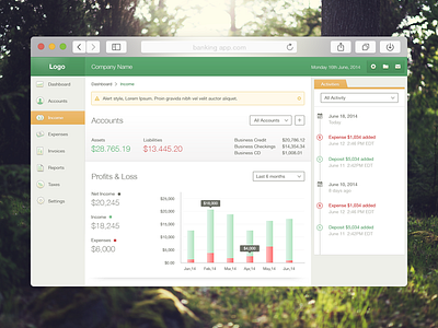 Another Banking Dashboard