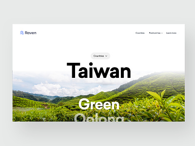 Scroll for tea type clean design header hero interface minimal ui ux webdesign website