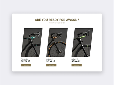 Premium bikes website design