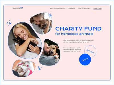 Charity fund website concept