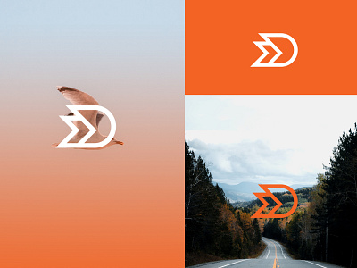 Daily Fly Logo Design Concept