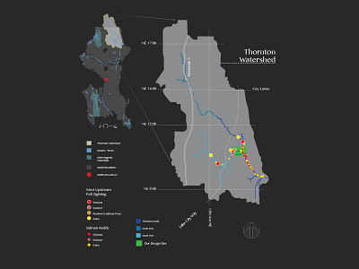 LA | Thornton Watershed Map + Diagram analysis cad design diagram gis illustrator landscape architecture map protection research salmon seattle watershed wildlife