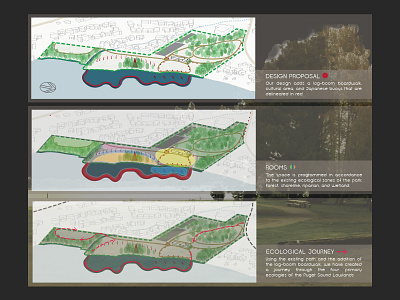 LA | Matthew's Beach Seafair Diagrams analysis design diagrams ecological design illustrator landscape architecture research seattle