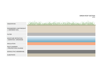 LA | Green Roof Section analysis design ecological design green roof how to illustrator landscape architecture research section