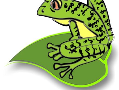 Frog arts drawing graphic design illustration sketch