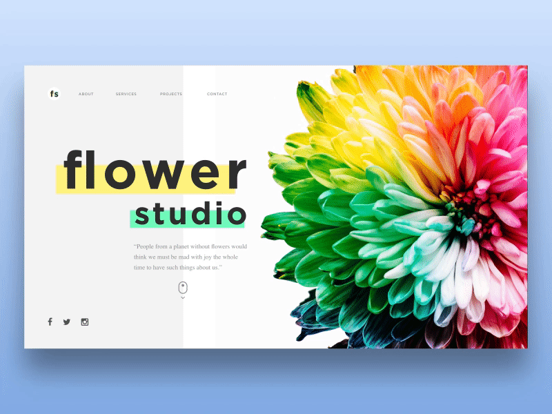 Animated Flower Studio agency concept using Principle color flowers homescreen interaction landing screen motion principle web design