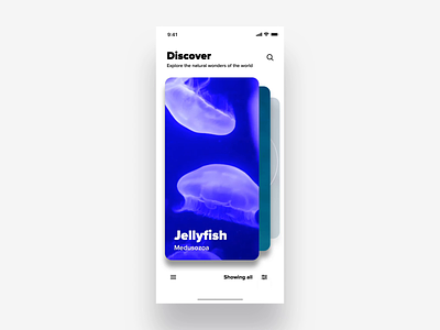 Filter interaction animation experiment animation cards dailyui discover drop shadow fab filter floating action buttons gesture interaction ios iphonex jellyfish loading logo motion parallax swipe ui video